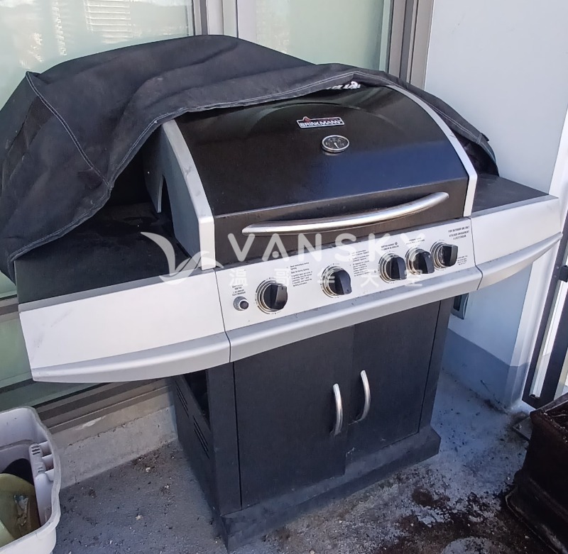 240330174247_BBQ oven.jpg